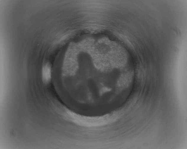 X0000113850042200910081655