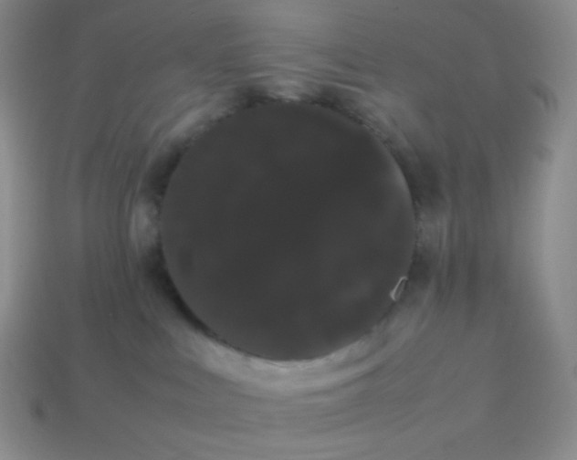 X0000113850043200910081655