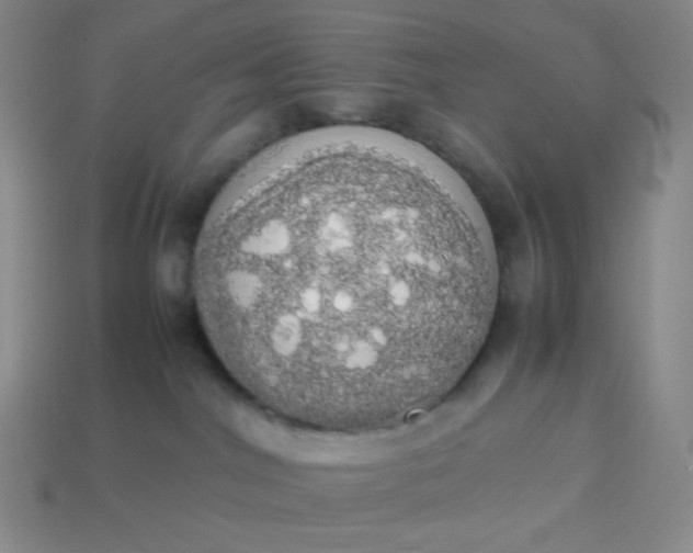 X0000113850044200910081655