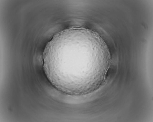 X0000113850045200910081654