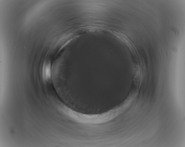 X0000113850046200910081654