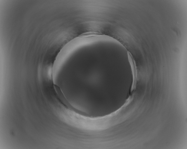 X0000113850047200910081654