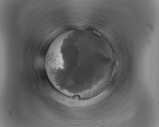 X0000113850048200910081654