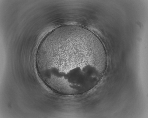 X0000113850049200910081654