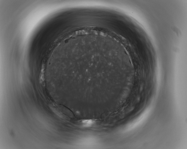 X0000113850050200910081654