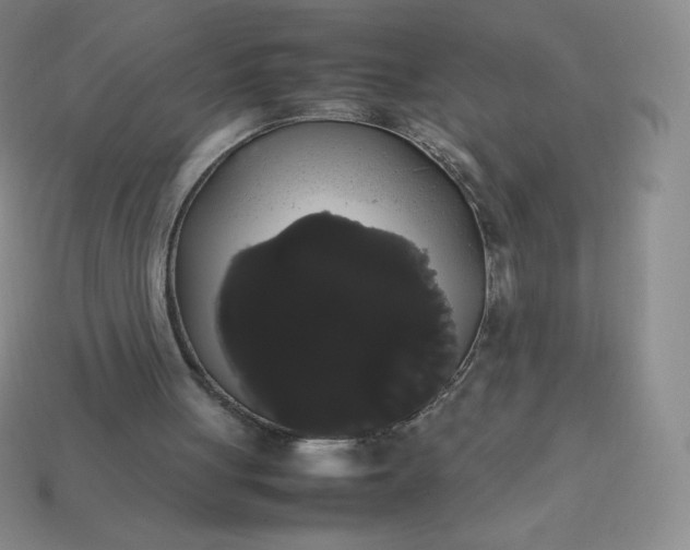 X0000113850051200910081654