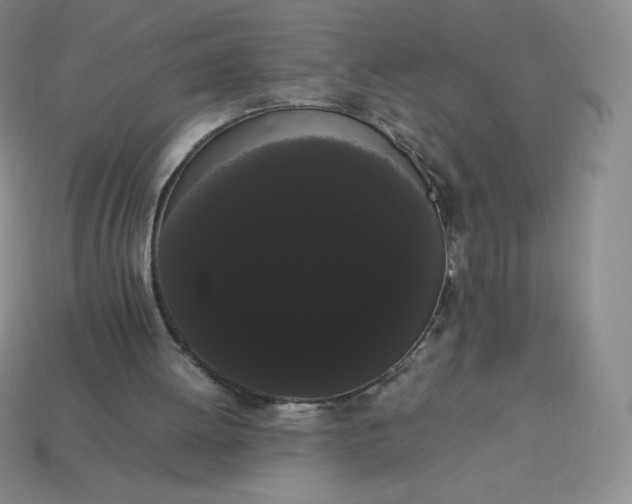 X0000113850052200910081654