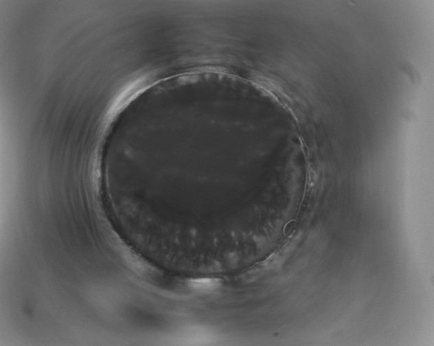 X0000113850053200910081654