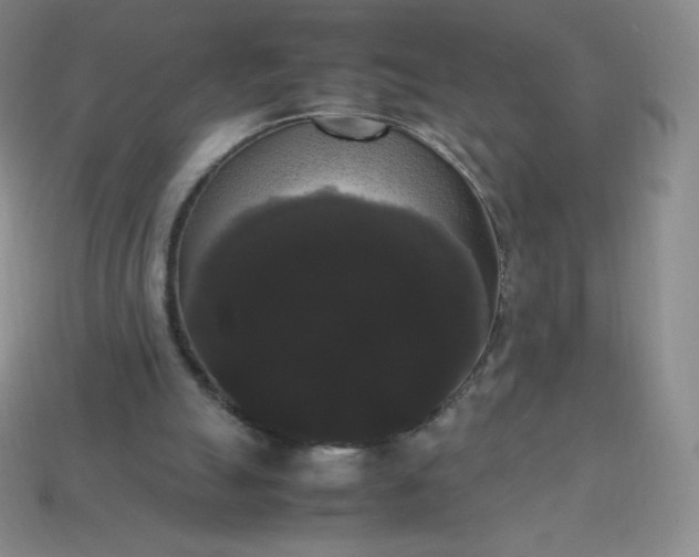 X0000113850055200910081654