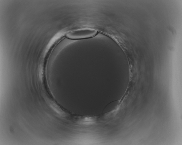 X0000113850056200910081654