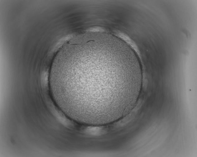 X0000113850057200910081654