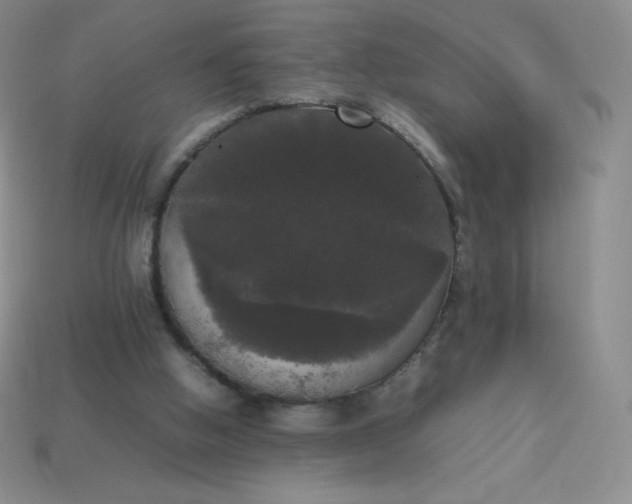 X0000113850058200910081654