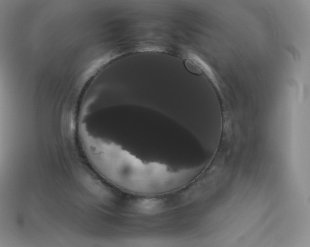 X0000113850059200910081654