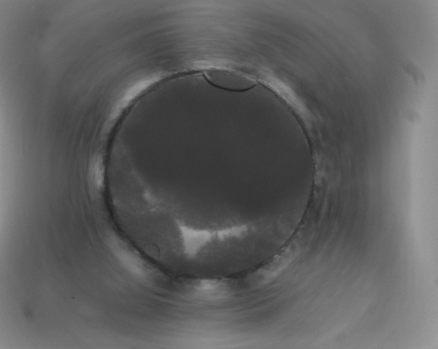 X0000113850060200910081654