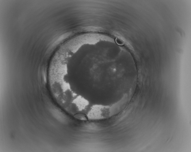 X0000113850062200910081654