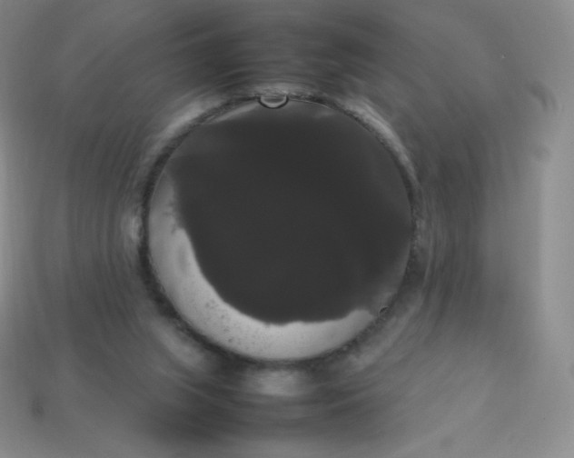 X0000113850063200910081654