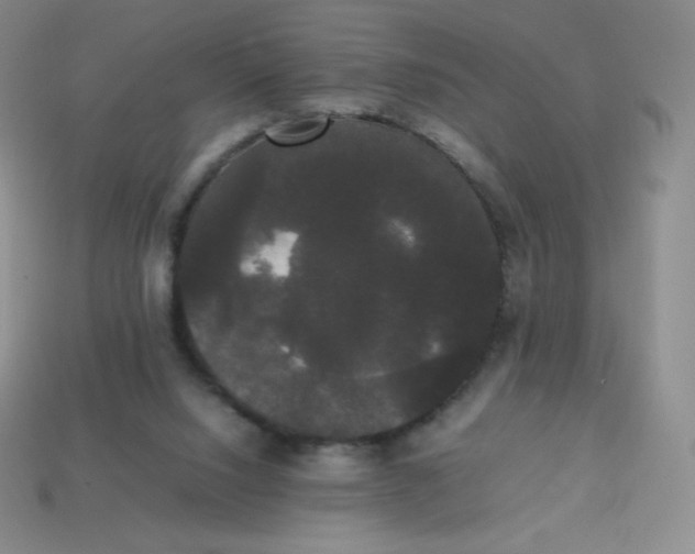 X0000113850064200910081654