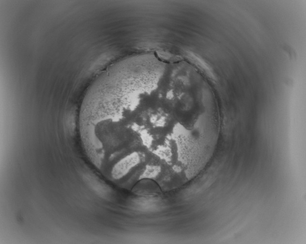 X0000113850065200910081654