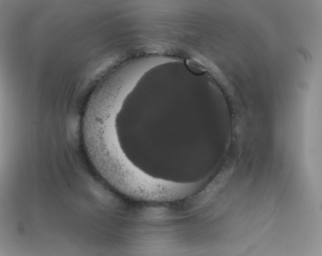 X0000113850066200910081654