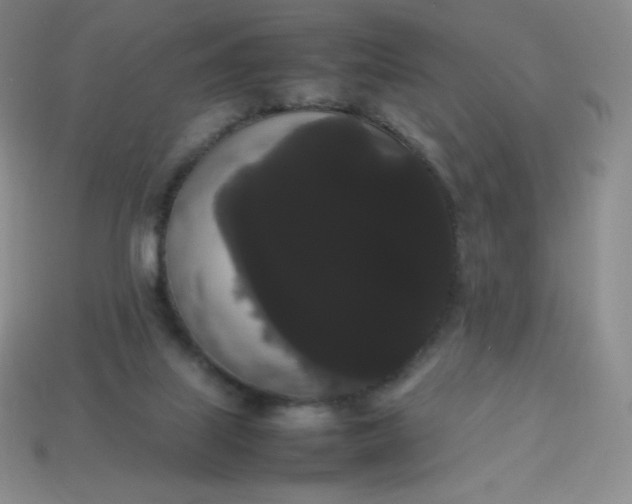 X0000113850067200910081654