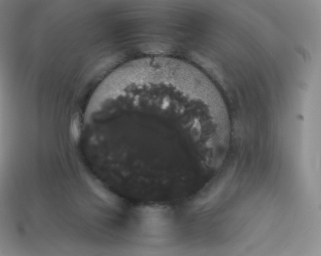 X0000113850069200910081654