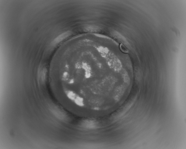 X0000113850071200910081654