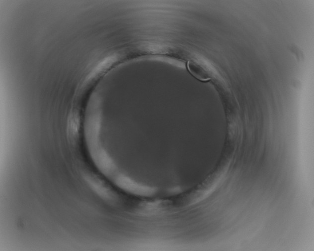 X0000113850072200910081654