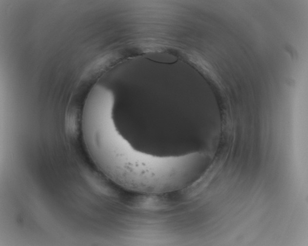 X0000113850074200910081654