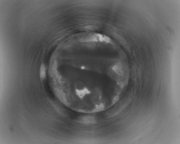 X0000113850075200910081654