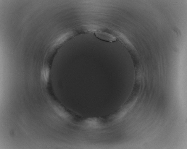 X0000113850076200910081654