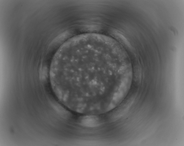 X0000113850077200910081654