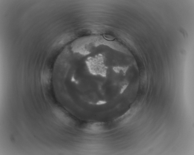 X0000113850078200910081654