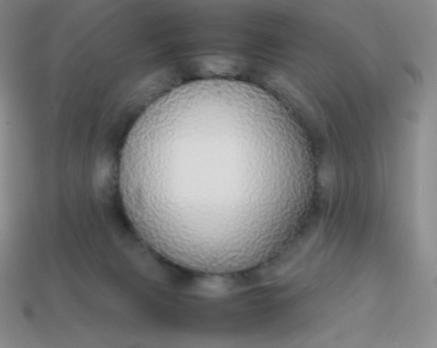 X0000113850079200910081654