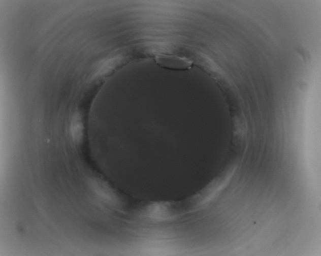 X0000113850080200910081654