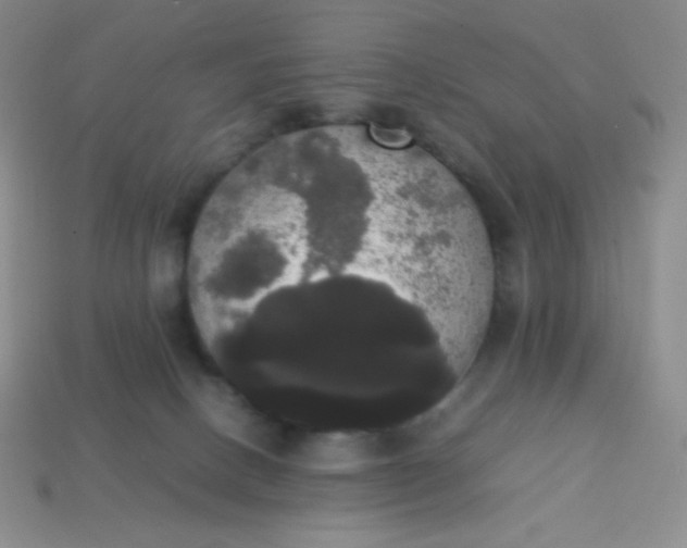 X0000113850082200910081654