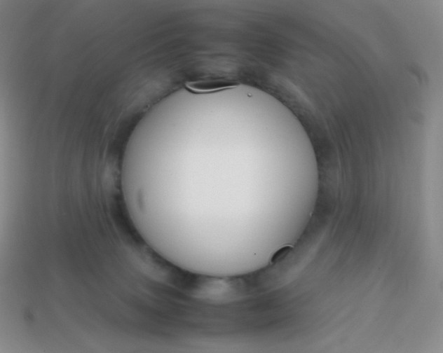 X0000113850083200910081654