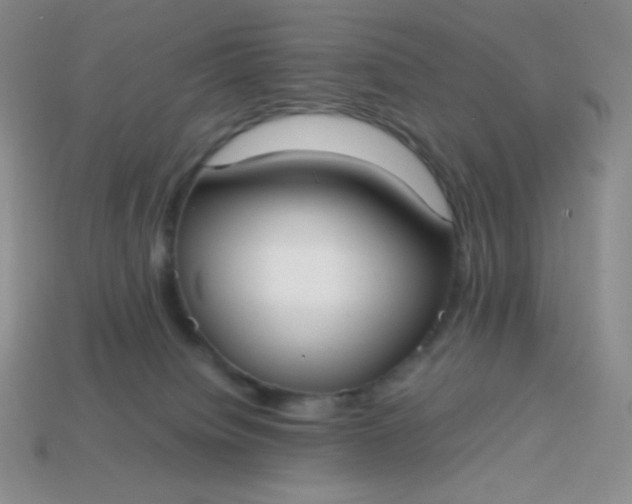 X0000113850084200910081654