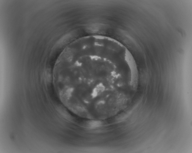 X0000113850085200910081654