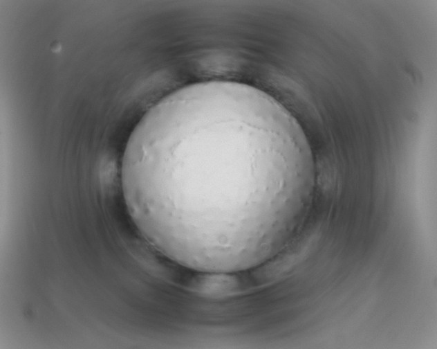 X0000113850087200910081654