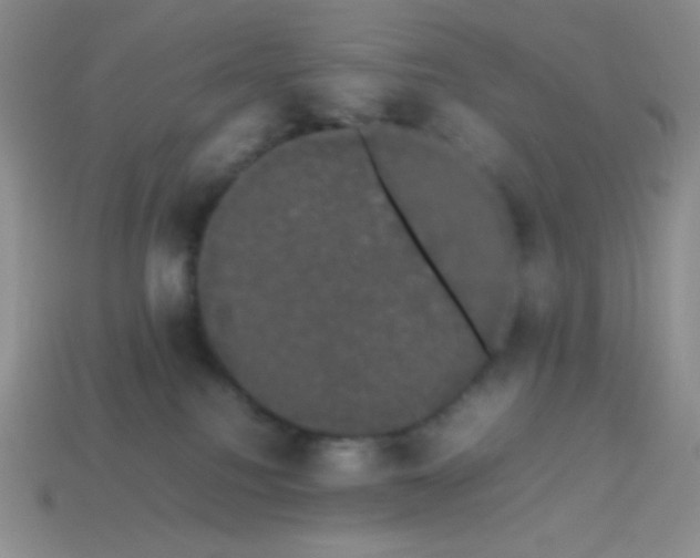 X0000113850088200910081654