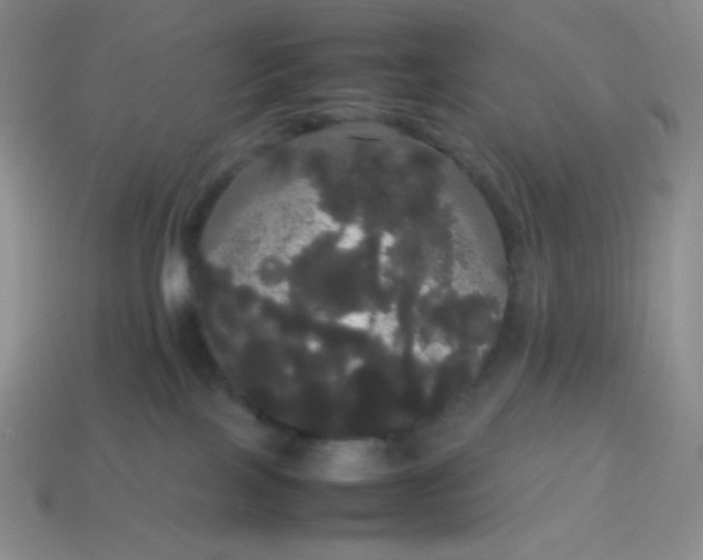 X0000113850089200910081654