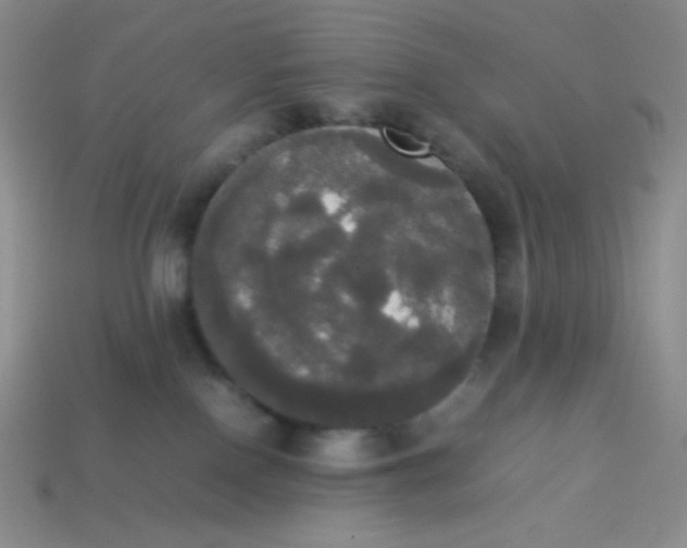 X0000113850090200910081654