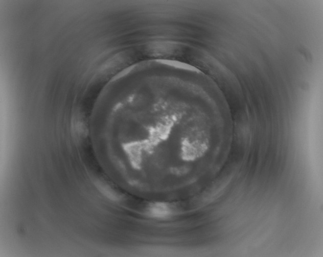 X0000113850091200910081654