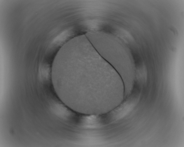 X0000113850092200910081654