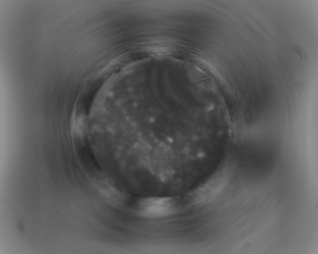 X0000113850093200910081654