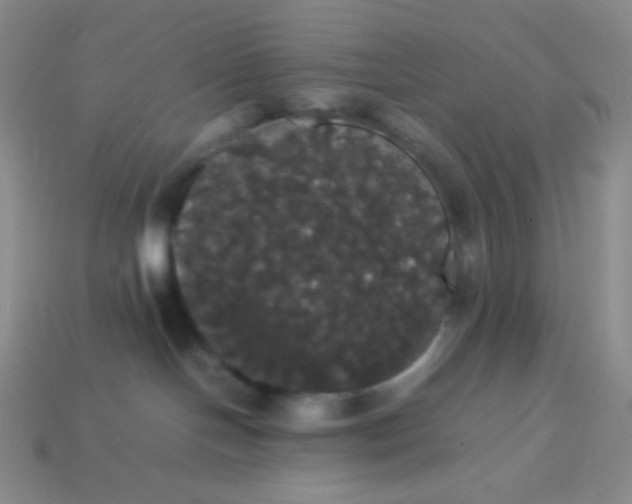 X0000113850094200910081654