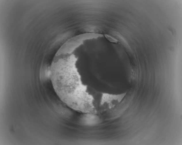 X0000113850095200910081654