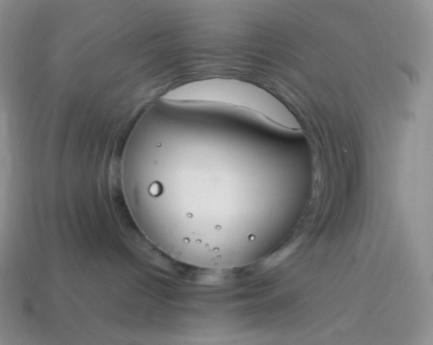 X0000113850096200910081654