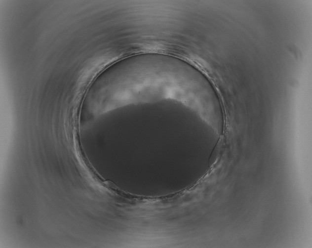 X0000113850097200910081654