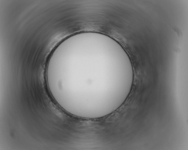 X0000113850098200910081654